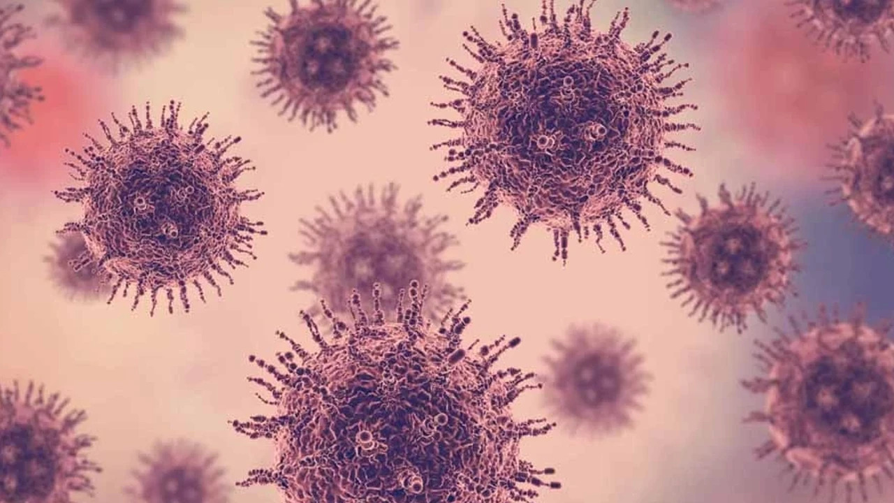 Madagaskar, halk sağlığı açısından son derece önemli ve ülke tarihinde