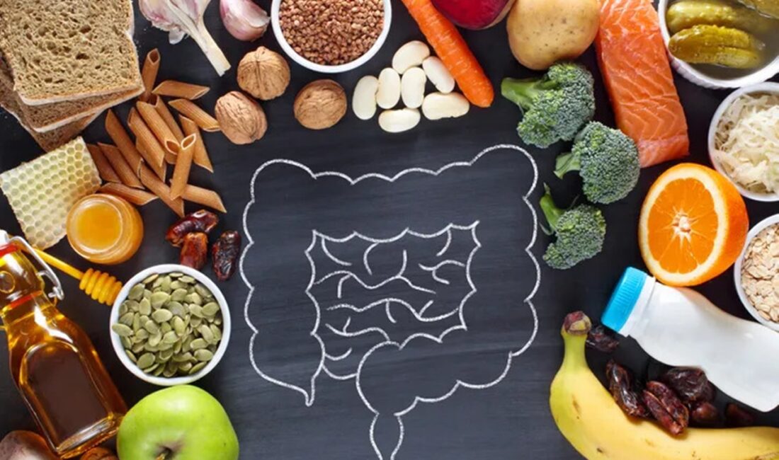 Günümüzde sindirim sistemiyle ilgili şikâyetlerin giderek artması, bilim dünyasında önemli