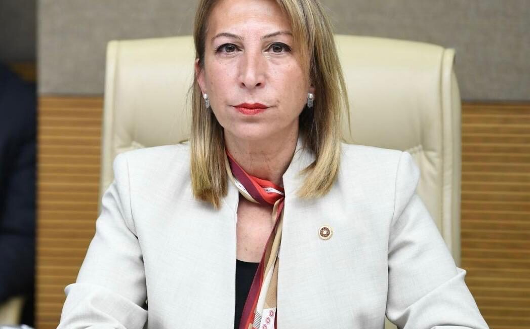 CHP’li Öneş Derici: “Muğla’nın Madenlere Verecek Başka Suyu Yok!” CHP