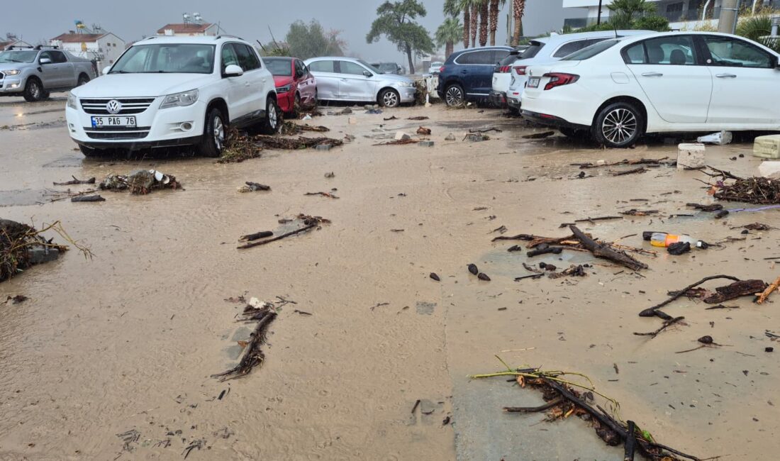 AYDIN BŞB İHMALİ VATANDAŞA KABUSU