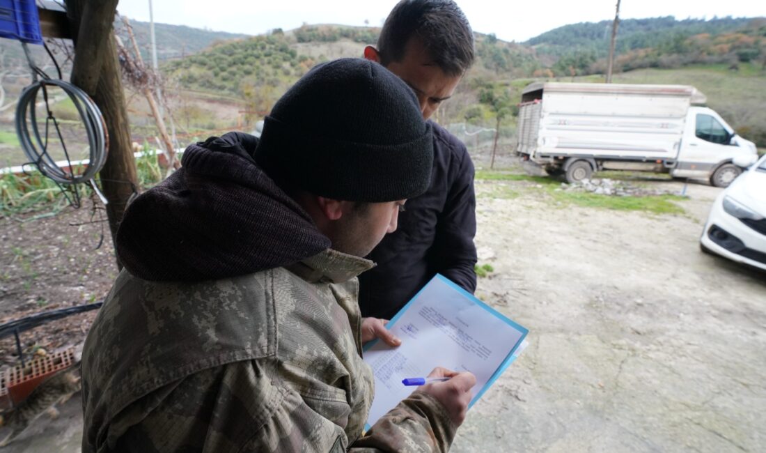 Balıkesir çiftçisine %100 hibeli damızlık desteği Balıkesir Büyükşehir Belediyesi, hem küçük aile tipi üreticiyi desteklemek hem