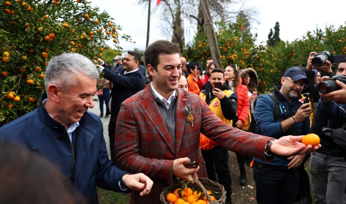 Bodrum Belediyesi ve Belediye A.Ş. iş birliğinde geliştirilen yeni satış
