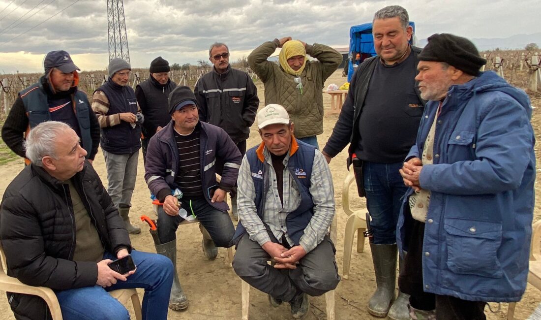 CHP Manisa Milletvekili ve TBMM Plan ve Bütçe Komisyonu Üyesi