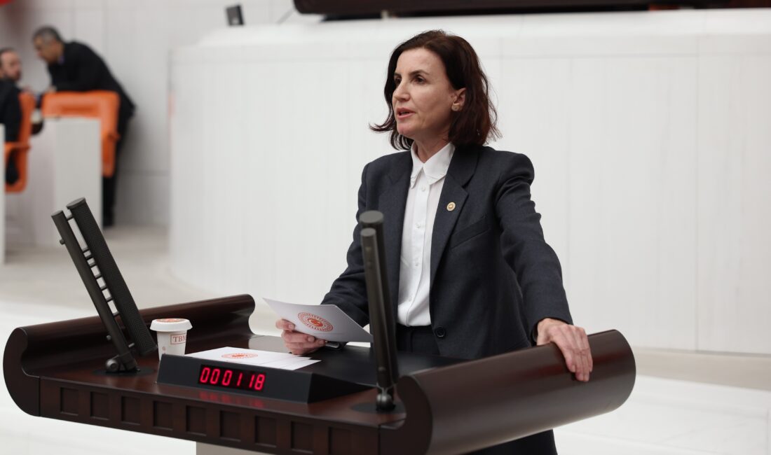 CHP’li Aliye Coşar’dan Kaş Limanağzı İçin Sert Tepki: “Rant Hayalleri