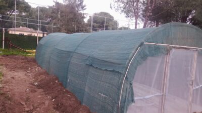 ÇÖPÜ TOPRAĞA SORDUK, CEVABI FİDE VERDİ