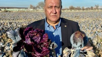 Gürer: “
Girdi maliyetleri katlayacak, alım fiyatları düşük tutulacak, sonra