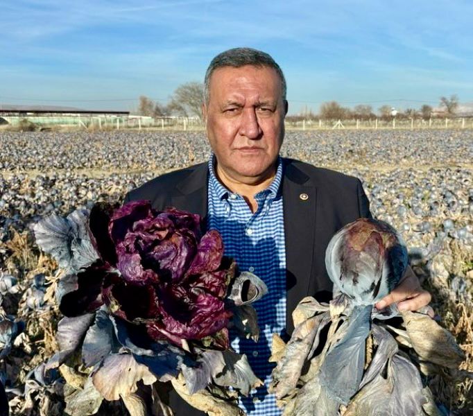 Gürer: “
Girdi maliyetleri katlayacak, alım fiyatları düşük tutulacak, sonra