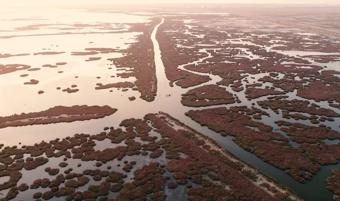 İzmir Büyükşehir Belediyesi, Gediz Nehri’ndeki kirliliği bilimsel verilerle ortaya koyuyor.