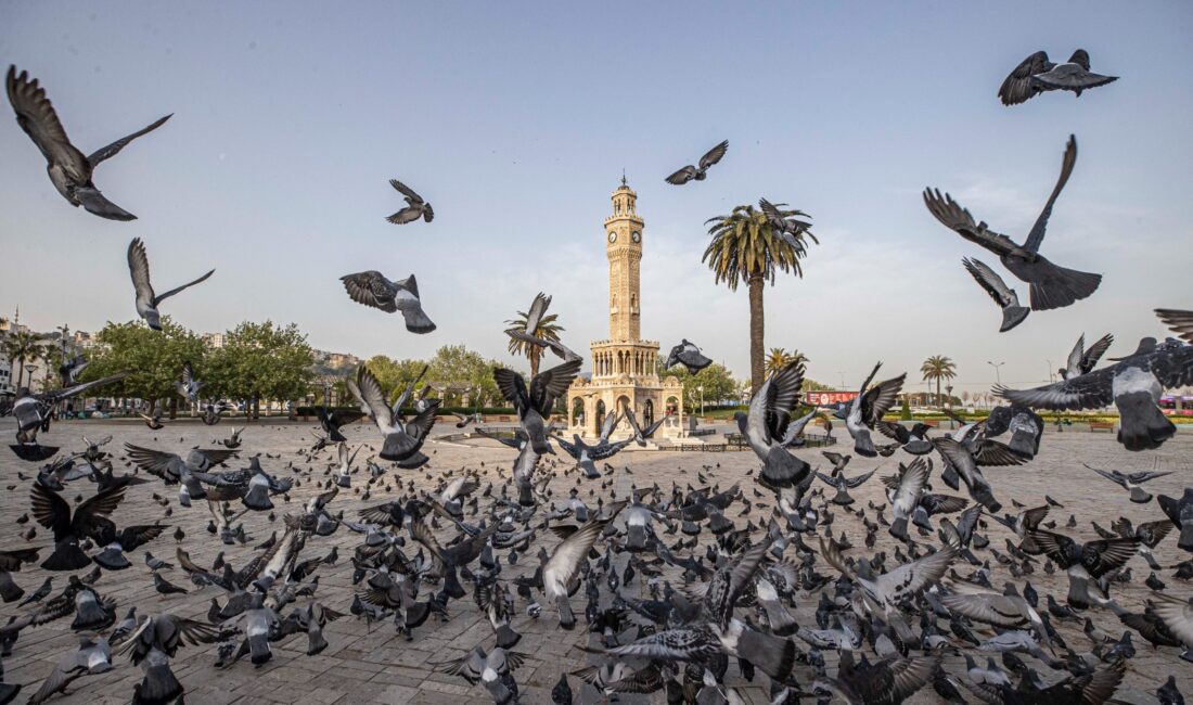 İzmir Büyükşehir Belediyesi bünyesindeki İZPA, veri odaklı ve katılımcı yaklaşımla