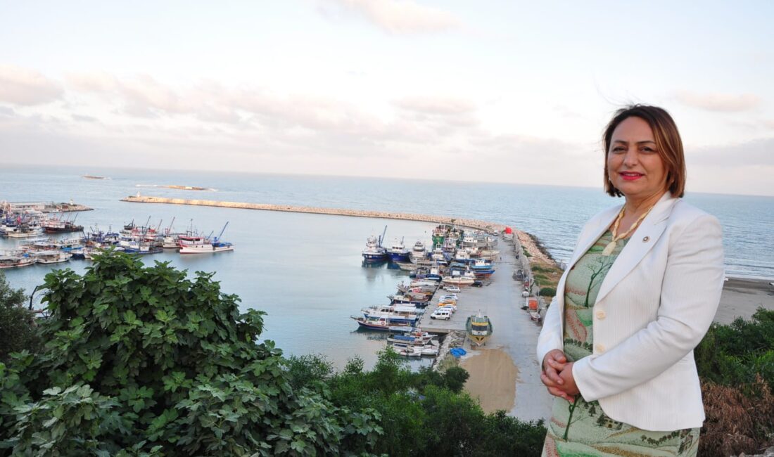 “Turizm teşvik bölgesi ilan ettiler, tek çivi çakmadan 13 yıl