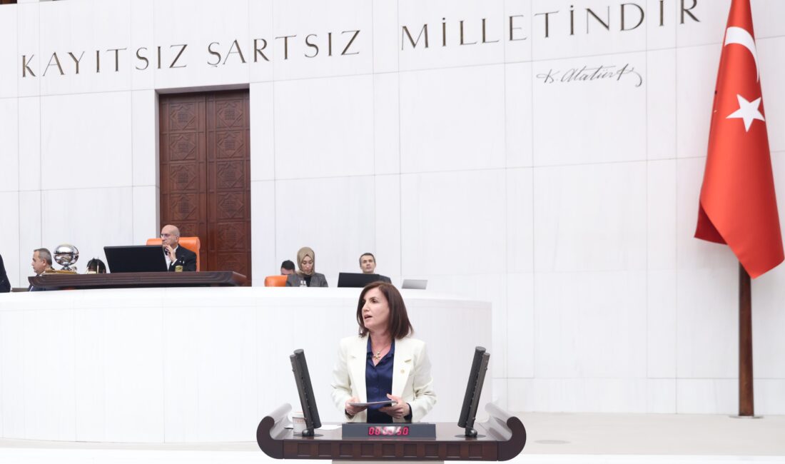 Cumhuriyet Halk Partisi Antalya Milletvekili Aliye Coşar, AKP iktidarının yıllardır