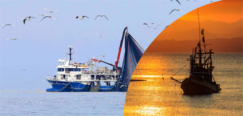 Tarım ve Orman Bakanlığı tarafından, deniz ve iç sulardaki su