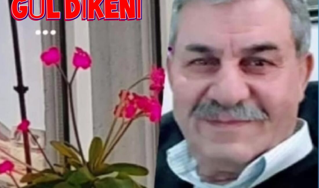 Hayat, insan için çoğu zaman haritasız ve pusulasız çıkılan bir
