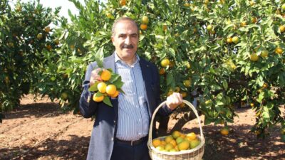 Türk ihracatçıları, yaş meyve sebze sektöründe 2026 yılının ilk çeyreğinde