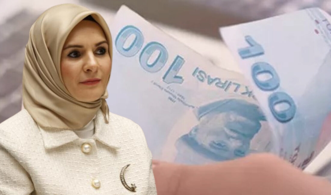 Nisan ayına ait 8,5 milyar lira tutarındaki yaşlı ve engelli