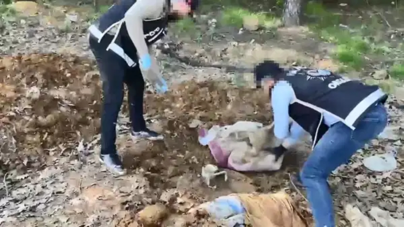 Pendik’te düzenlenen operasyonda, dronla tespit edilen toprağa gömülü su deposunda