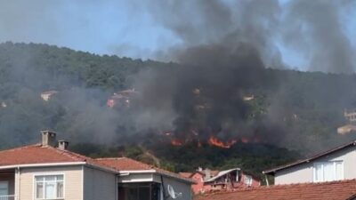 İstanbul’da Beykoz Kılıçlı Mahallesi'nde bulunan ormanlık alanda yangın çıktı. Yangın,