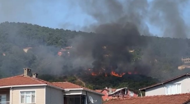 İstanbul’da Beykoz Kılıçlı Mahallesi'nde bulunan ormanlık alanda yangın çıktı. Yangın,