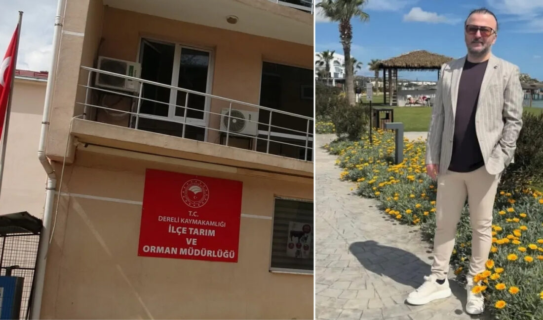 Giresun’un Dereli ilçesindeki İlçe Tarım ve Orman Müdürlüğü’nde yaklaşık 600