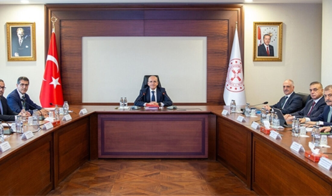Finansal İstikrar Komitesi, Hazine ve Maliye Bakanı Mehmet Şimşek başkanlığında