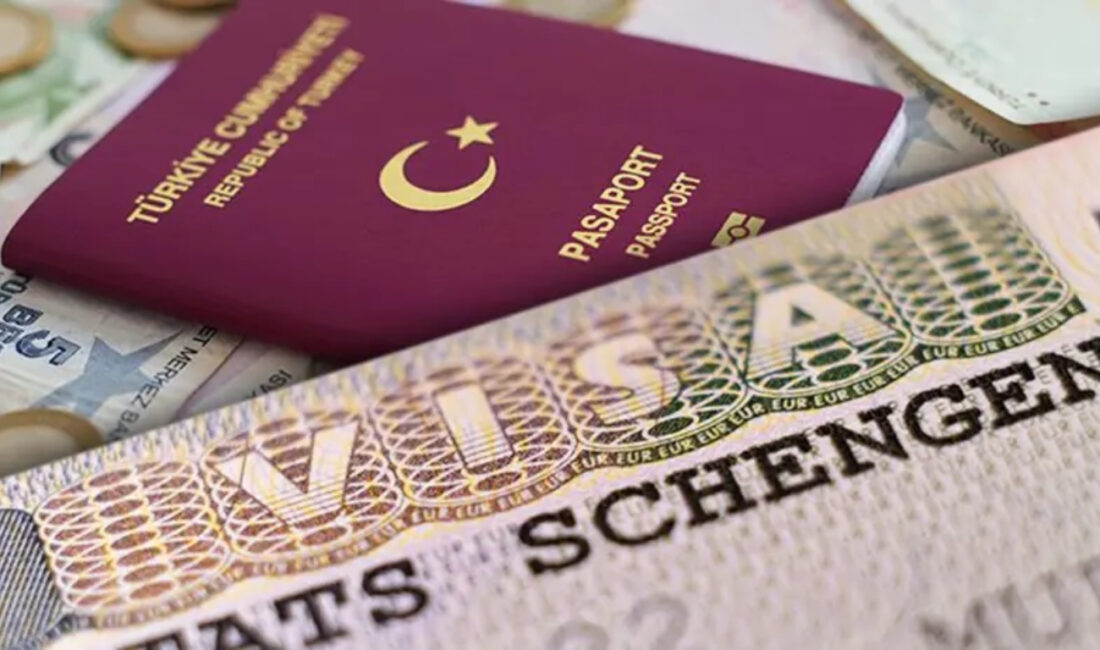Küresel ölçekte vize hizmeti sunan bir şirkete yönelik uluslararası araştırma,