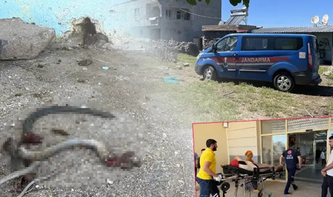 Şanlıurfa’nın Siverek ilçesinde bir eve giren yılanı vurmak isteyen kişinin