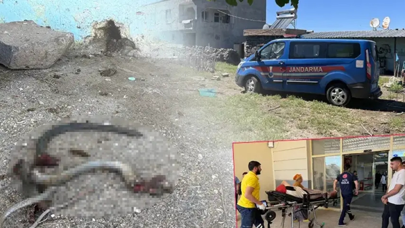 Şanlıurfa’nın Siverek ilçesinde bir eve giren yılanı vurmak isteyen kişinin