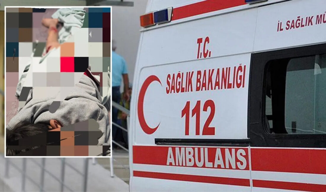 Van’ın Muradiye ilçesinde 11 yaşındaki bir çocuk, okuldan döndüğü sırada