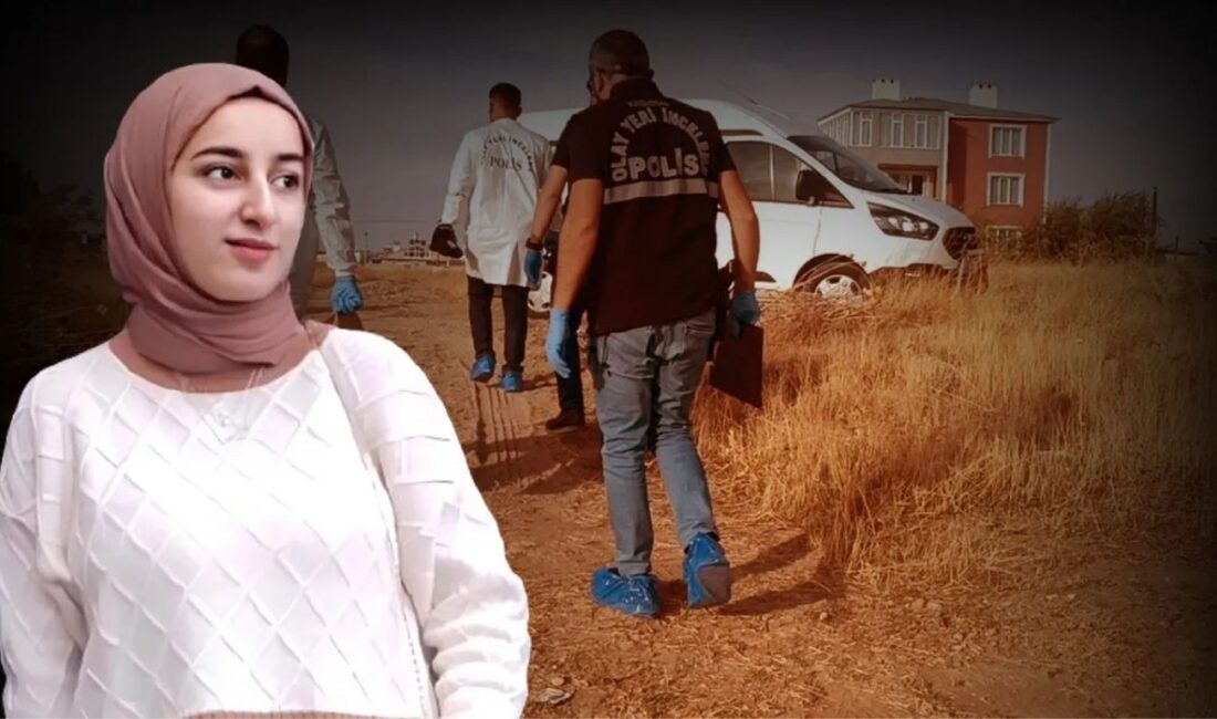 Van’da hayatını kaybeden üniversite öğrencisi Rojin Kabaiş’in dosyasında DNA incelemeleri