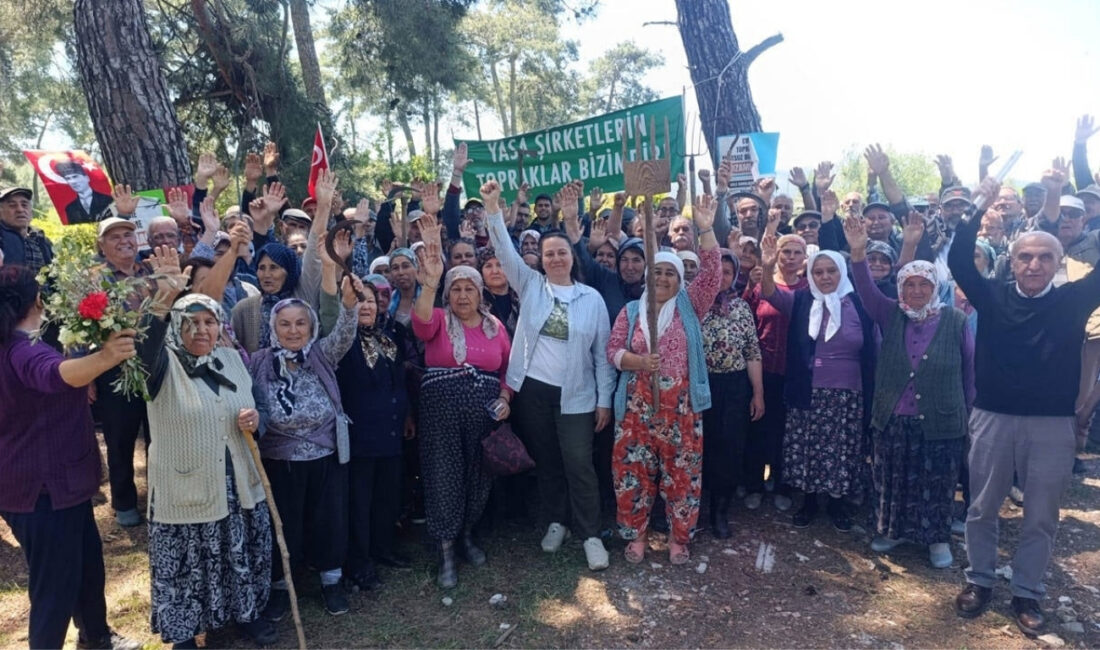 Son dakika haberi... Danıştay 6. Dairesi, Akbelen’de maden sahası için