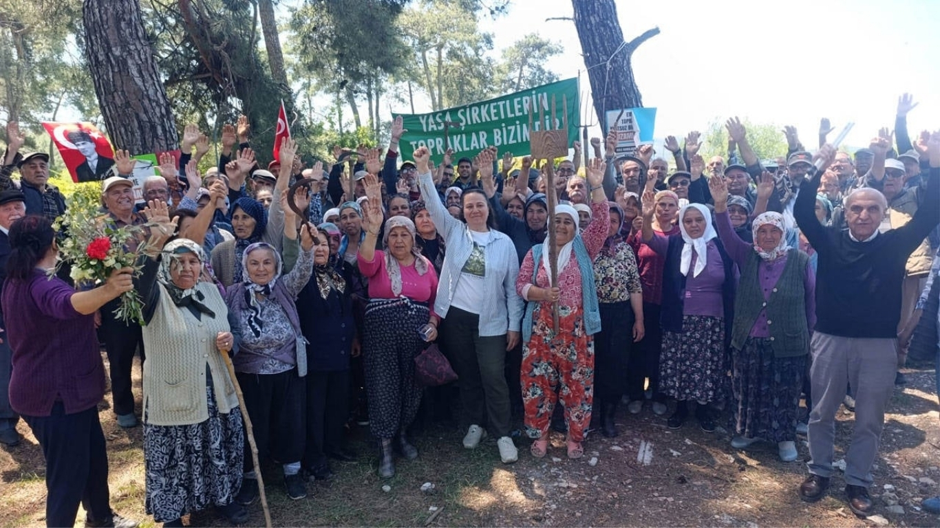 Son dakika haberi... Danıştay 6. Dairesi, Akbelen’de maden sahası için