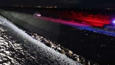 Iğdır’da arı saldırısı sonucu birbirini ezen 400 koyun telef olurken,