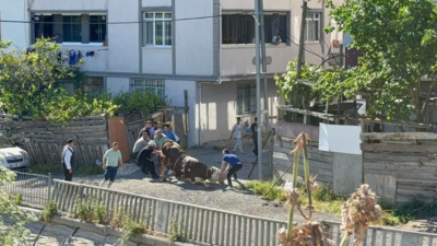 Kurban Bayramı'nın ilk gününde Türkiye'nin farklı illerinde çok sayıda noktada