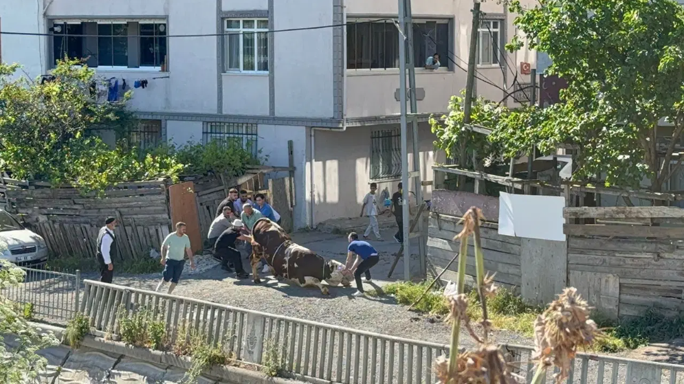 Kurban Bayramı'nın ilk gününde Türkiye'nin farklı illerinde çok sayıda noktada