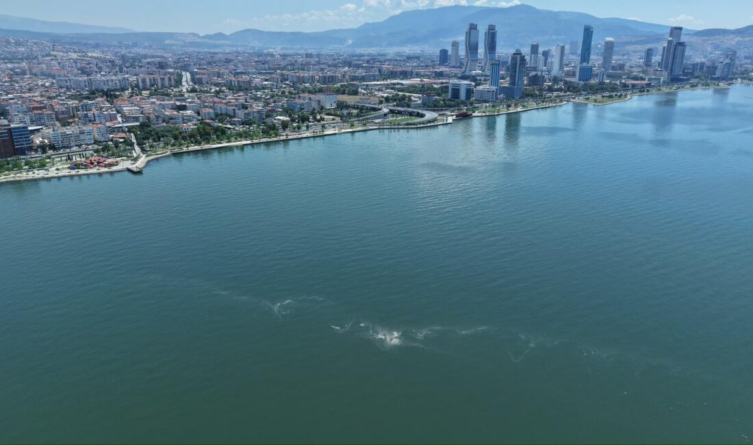 İzmir Büyükşehir Belediyesi’nin dron destekli rutin denetimlerinde, kasım ayından bu