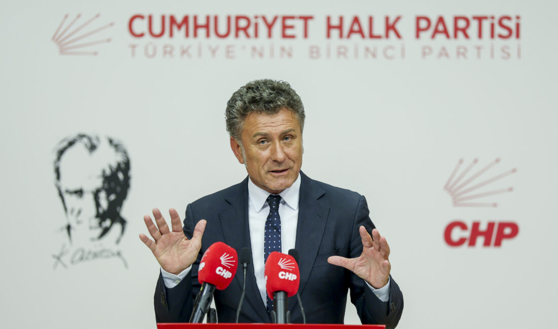 CHP Yurtiçi Örgütlenmeden Sorumlu Genel Başkan Yardımcısı, Bursa Milletvekili ve