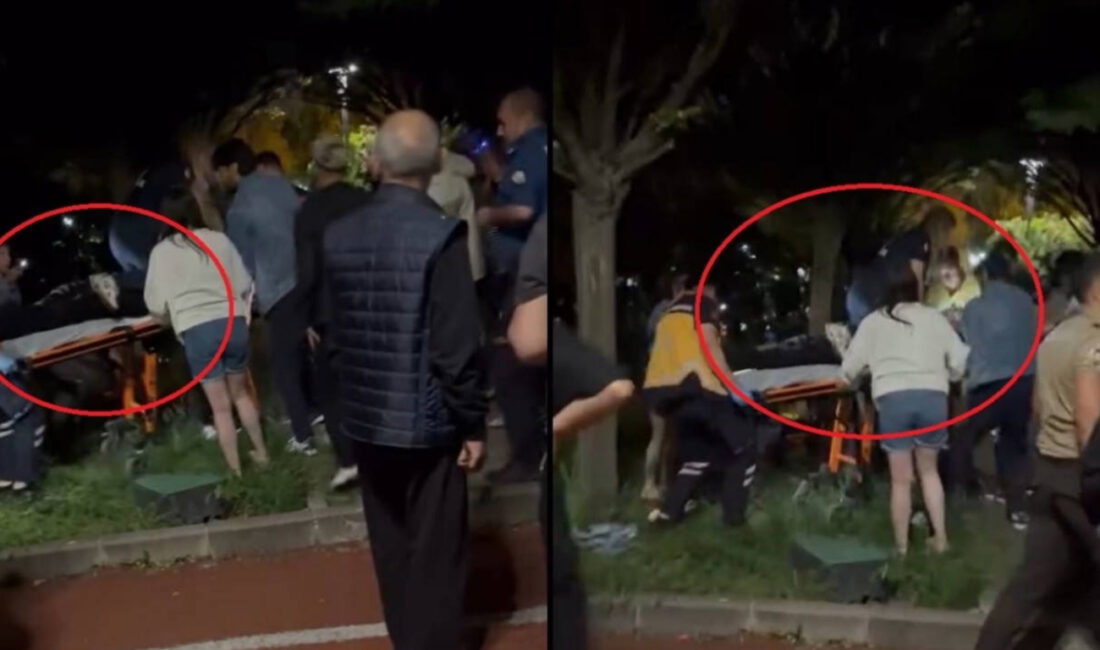 
Ankara'nın Etimesgut ilçesinde parkta çıkan tartışma cinayetle sonuçlandı. Eski kız