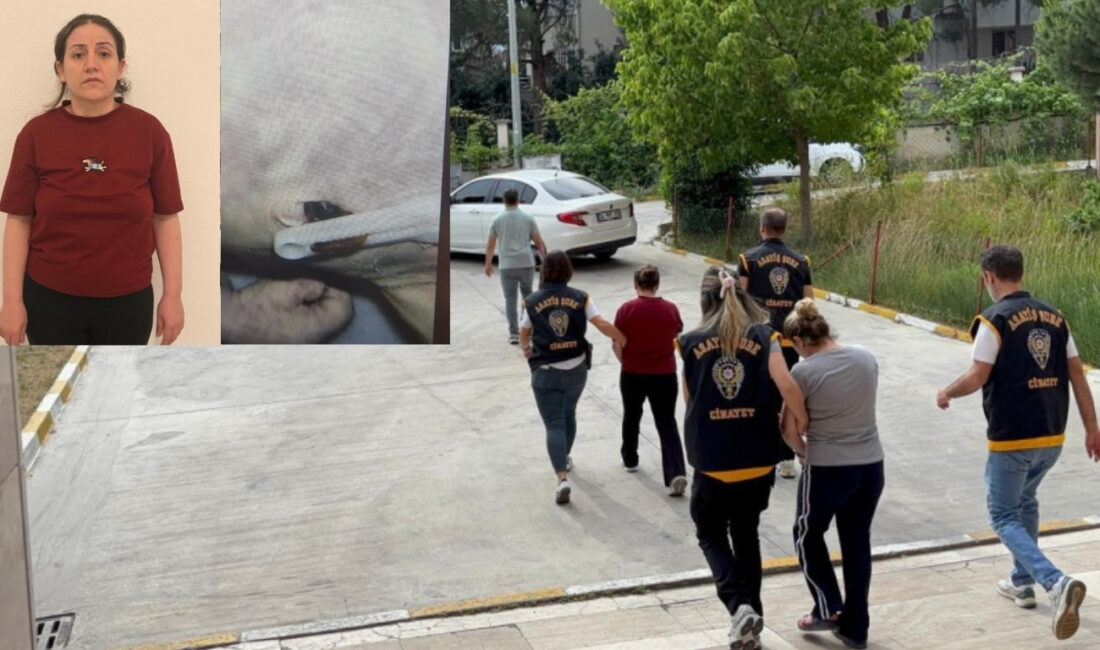 Manisa’da 2010 yılında çöp konteyneri yanında bulunan yenidoğan bebeğin ölümü,