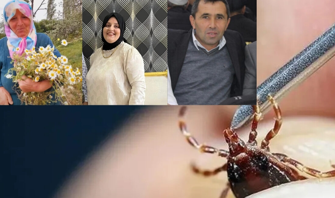 Sivas'ta kene kaynaklı olduğu belirtilen KKKA vakaları endişe yaratmaya devam