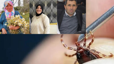 Sivas'ta kene kaynaklı olduğu belirtilen KKKA vakaları endişe yaratmaya devam
