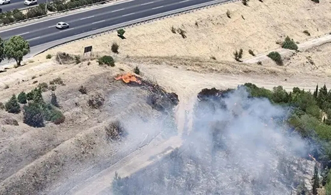
Manisa’nın Akhisar ilçesi ile İzmir’in Bornova ilçesinde çıkan yangınlar ekipleri