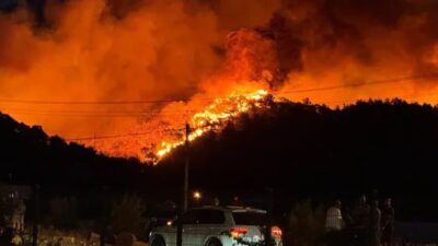 Muğla’nın Fethiye ilçesinde ormanlık alanda çıkan yangın, rüzgarın etkisiyle kısa