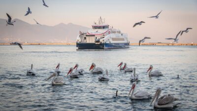 İZDENİZ’in 2026 Yılı Yolcu Memnuniyet Anketi, deniz ulaşımından duyulan memnuniyeti