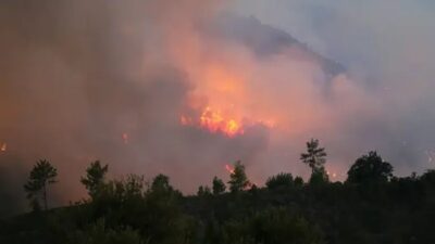 Muğla’nın Menteşe ilçesinde sabah saatlerinde başlayan orman yangını, kuvvetli rüzgarın