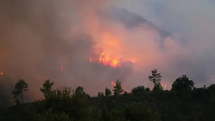 Muğla’nın Menteşe ilçesinde sabah saatlerinde başlayan orman yangını, kuvvetli rüzgarın