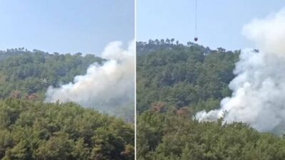 Adana’nın Kozan ilçesinde ormanlık alanda yangın çıktı. Enizçakırı Mahallesi’nde başlayan