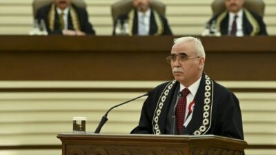 Anayasa Mahkemesi Başkanı Kadir Özkaya, Gezi Parkı davası hükümlüsü Tayfun