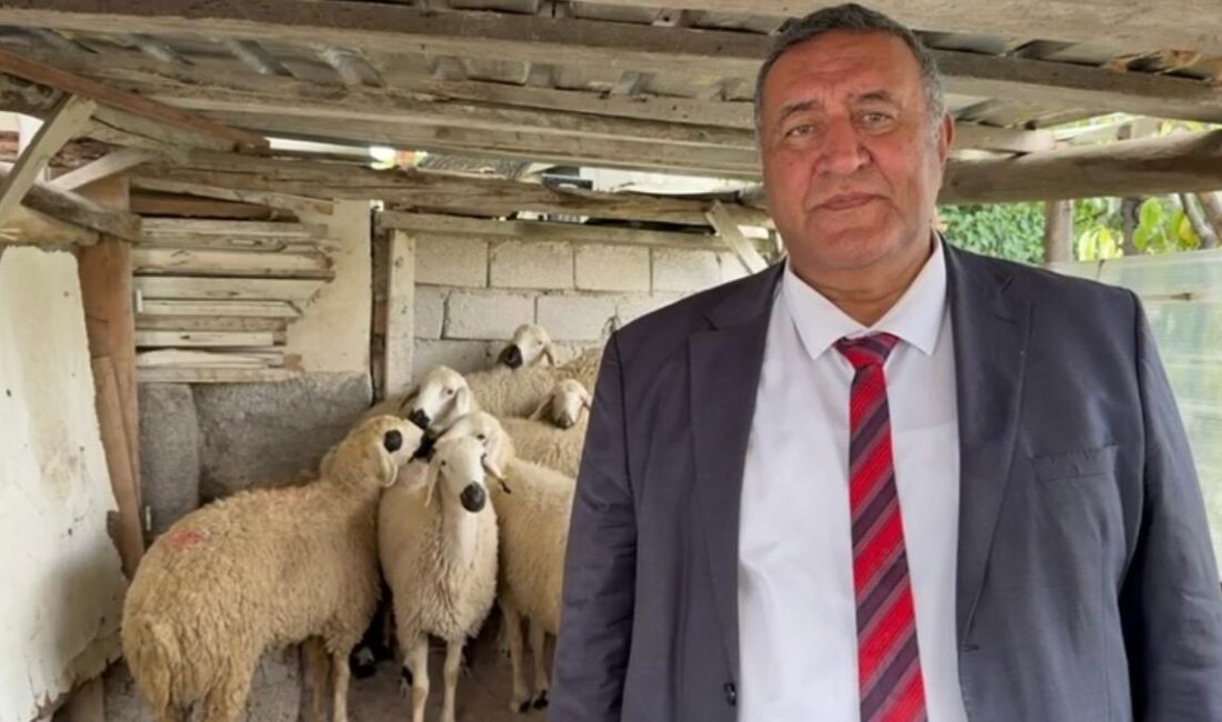 Gürer: “2023 ile 2025 arasında Kırmızı Ette 500 Milyon Ton,