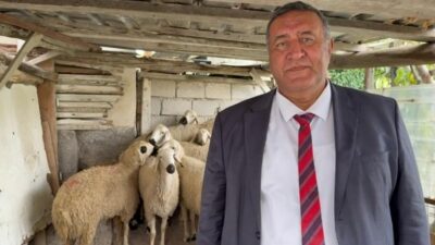 Gürer: “2023 ile 2025 arasında Kırmızı Ette 500 Milyon Ton,