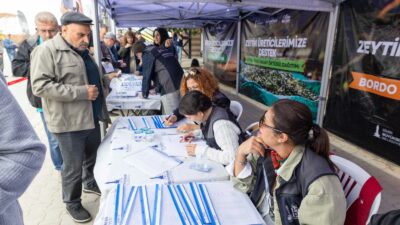 Türkiye’nin yağlık zeytin üretiminin yüzde 20’sini karşılayan İzmir’de, zeytinin geleceği